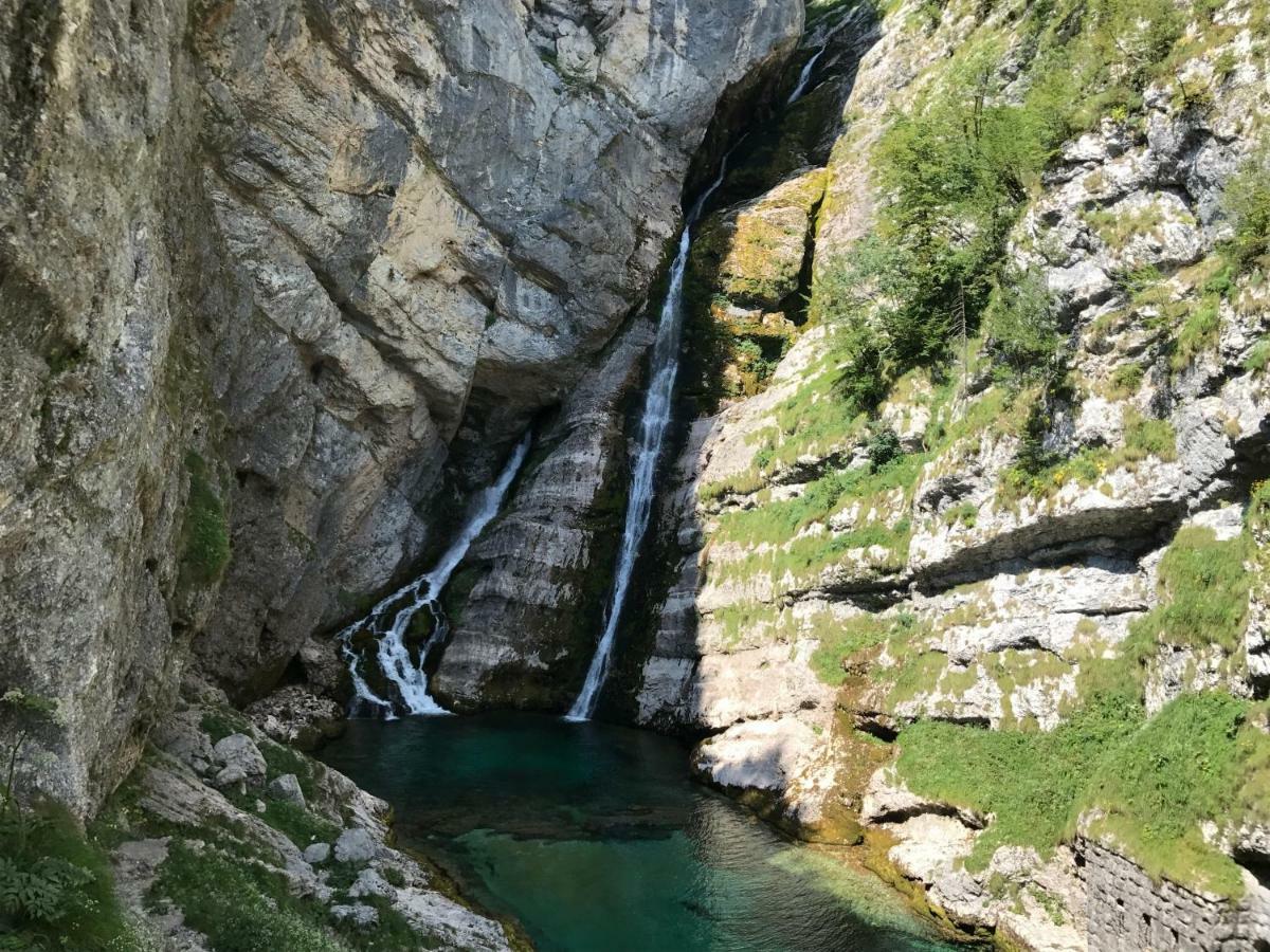 Planinski Dom Savica Bohinj Dış mekan fotoğraf